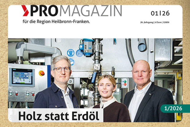 Holz statt Erdöl